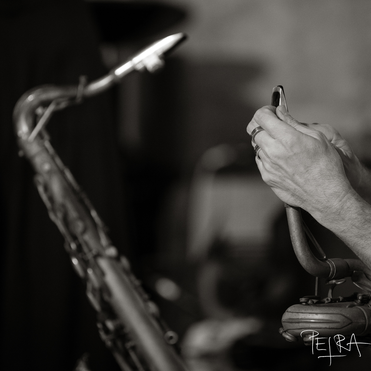 MATS GUSTAFSSON SPECIAL PROJECT, Centro d’Arte, Padua, Italy